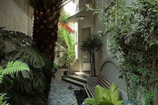 Stella Bed & Breakfast México DF